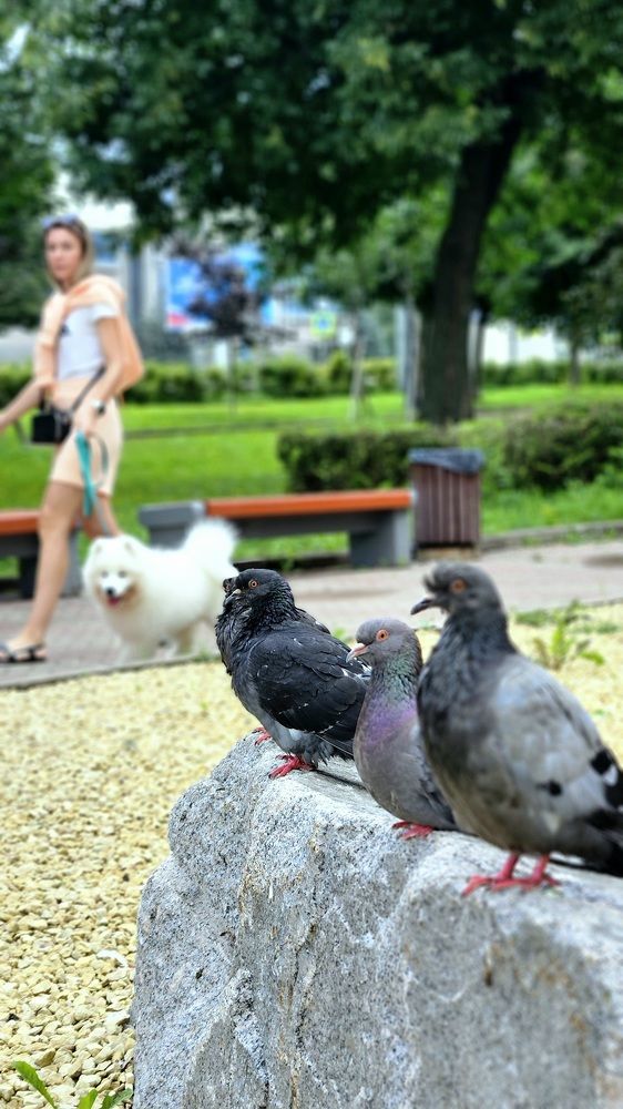 Photograph by Наталья Анисимова