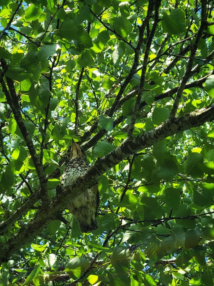 Photograph by Алина