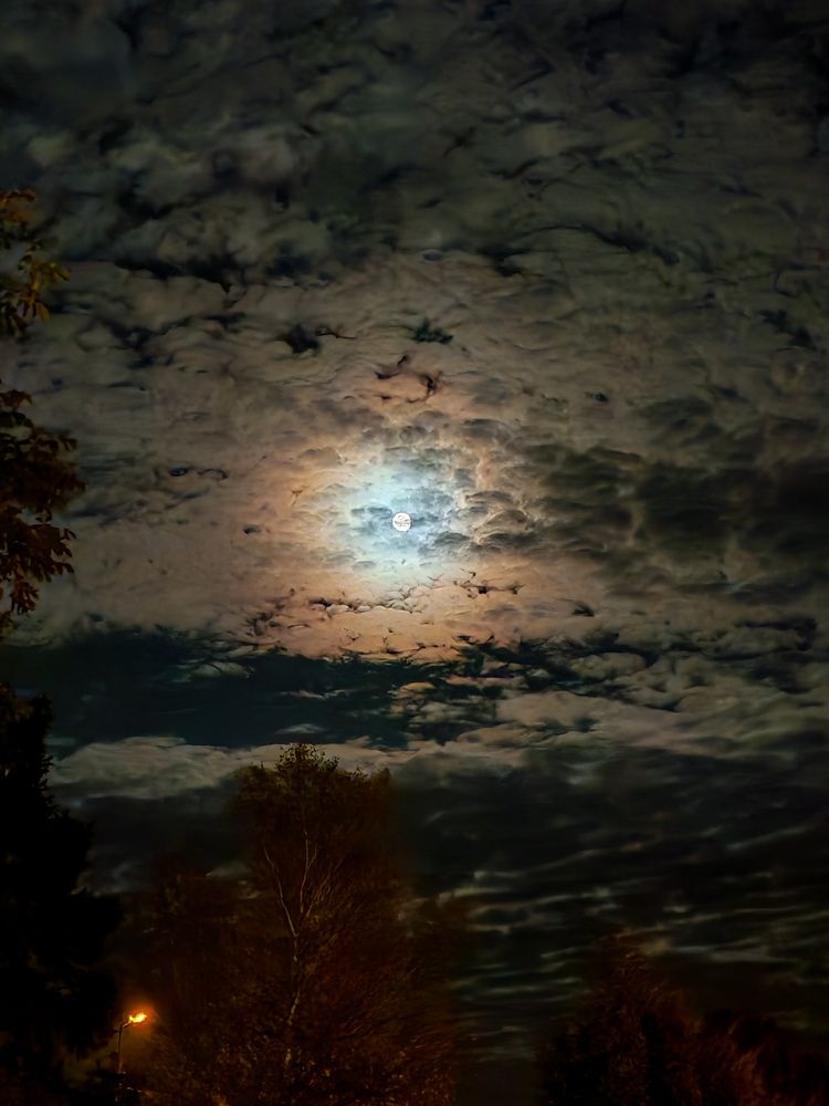 Photograph by ТАТЬЯНА ПАНОВА