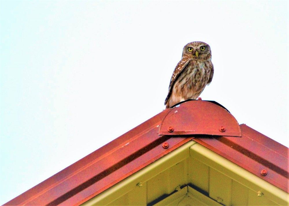 Photograph by Сиваков Алексей