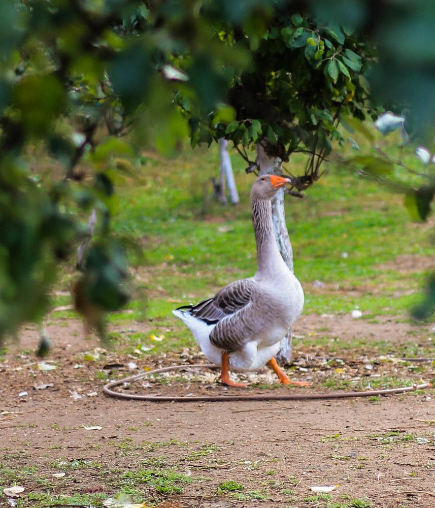 Photograph by Любовь Иванова