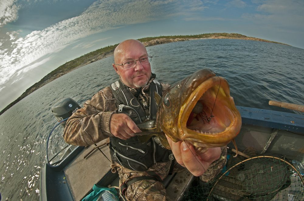 Фотография автора Владимир