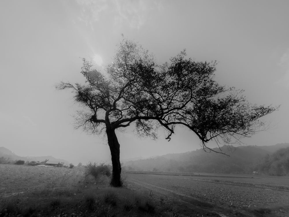 Photograph by Vl Peka Zofa