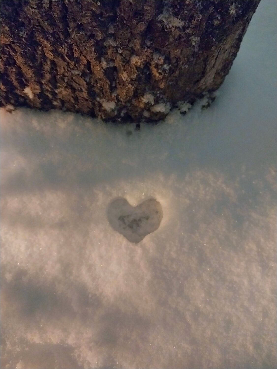 Photo #11769183