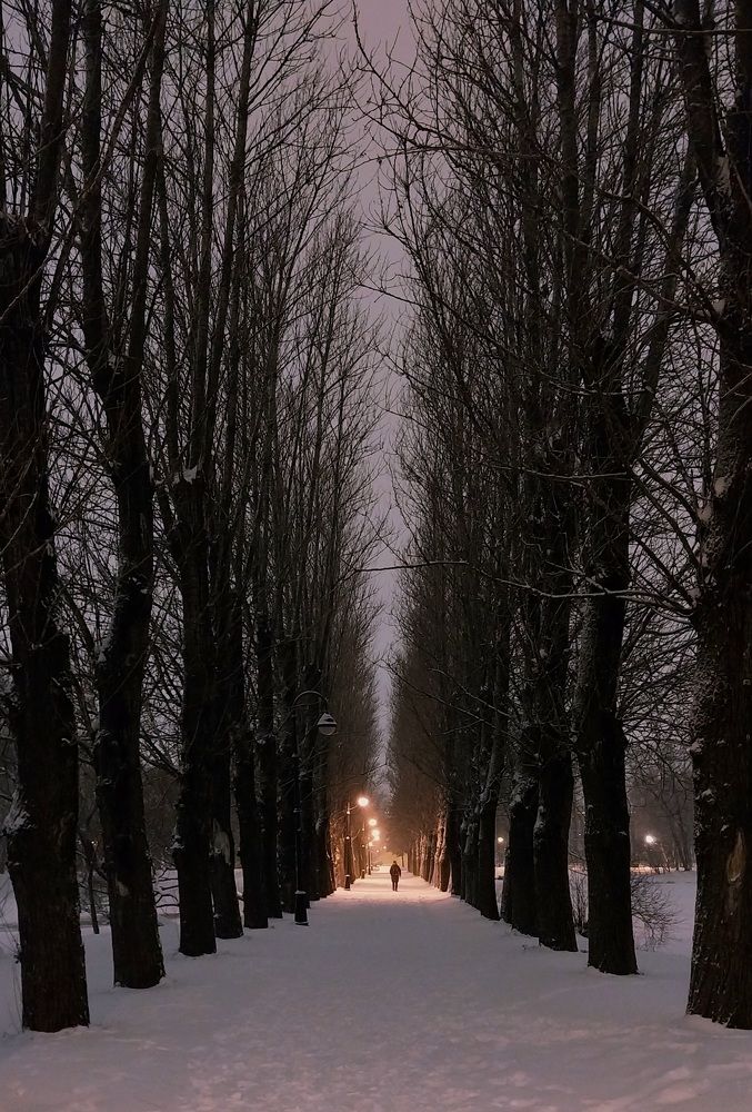 Photo #11769218