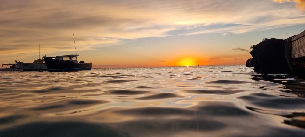 Photograph by Jeannette Beaumont