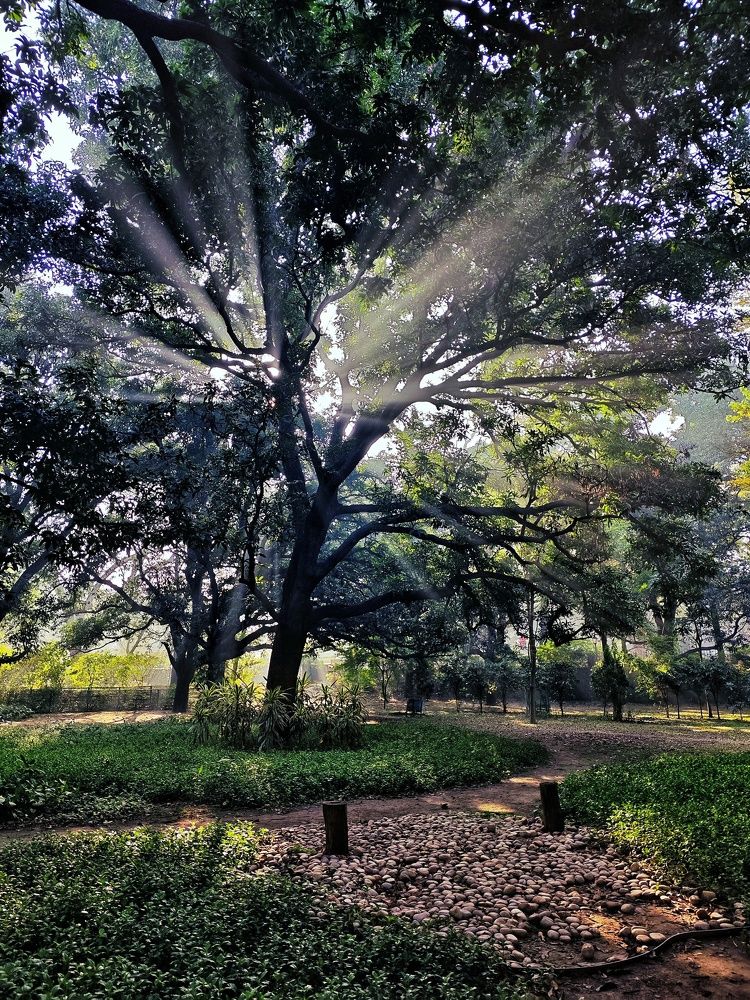 Photograph by HARSHIT MISHRA