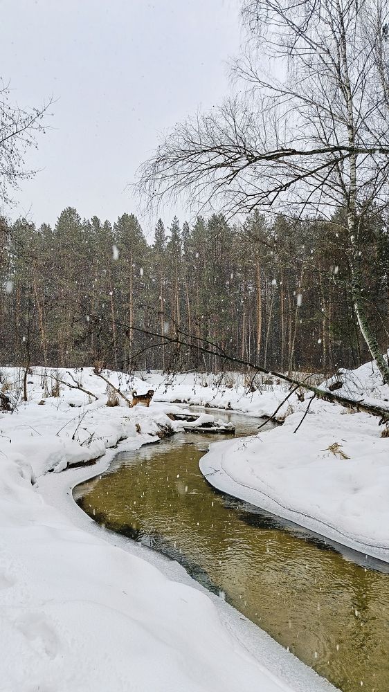 Photograph by Татьяна Пятернёва