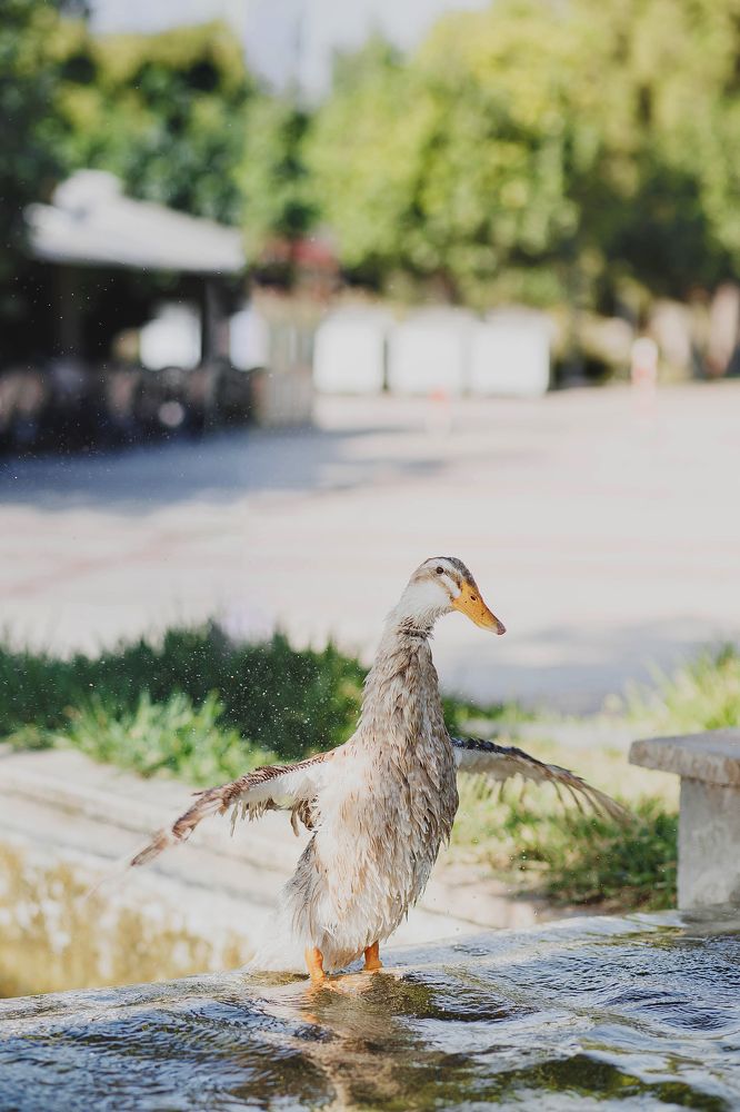 Photograph by Анна Ушакова