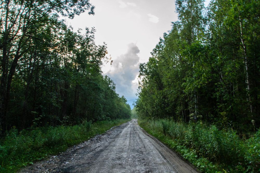 Photograph by Михаил Ананьин