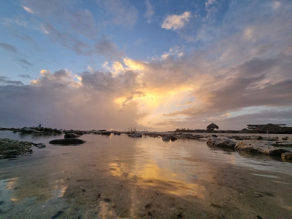 Photograph by Jeannette Beaumont