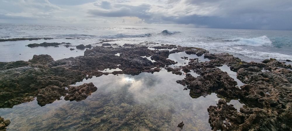 Photograph by Jeannette Beaumont