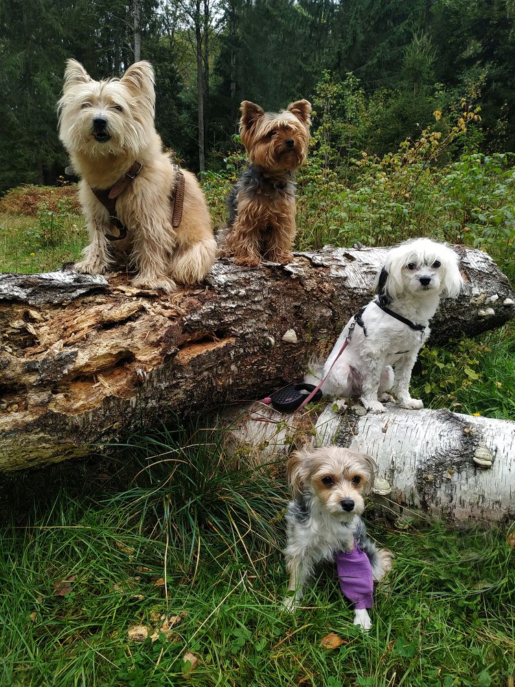 Photograph by Лолита Богачева