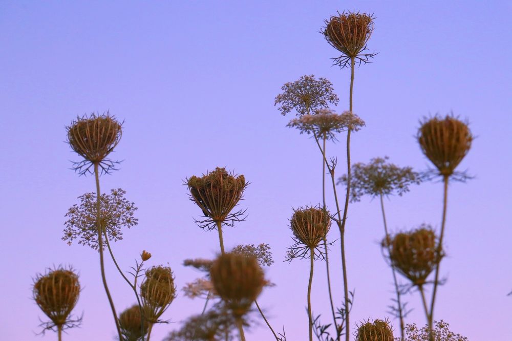 Фотография автора Татьяна Миранович