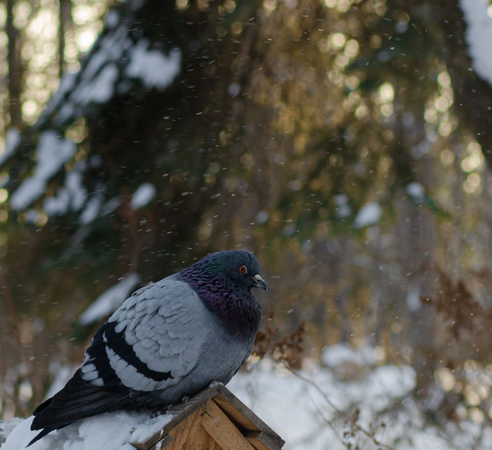 Photograph by Ксения Тенькина