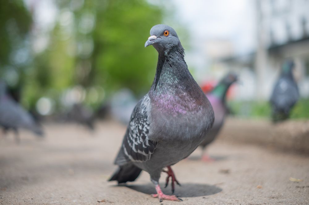 Photograph by Денис Пономарёв