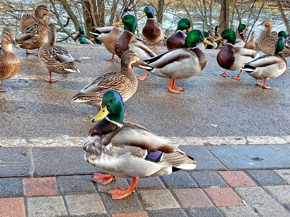 Photograph by Ирина Ермакович