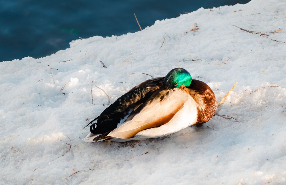 Photograph by Ксения Тенькина