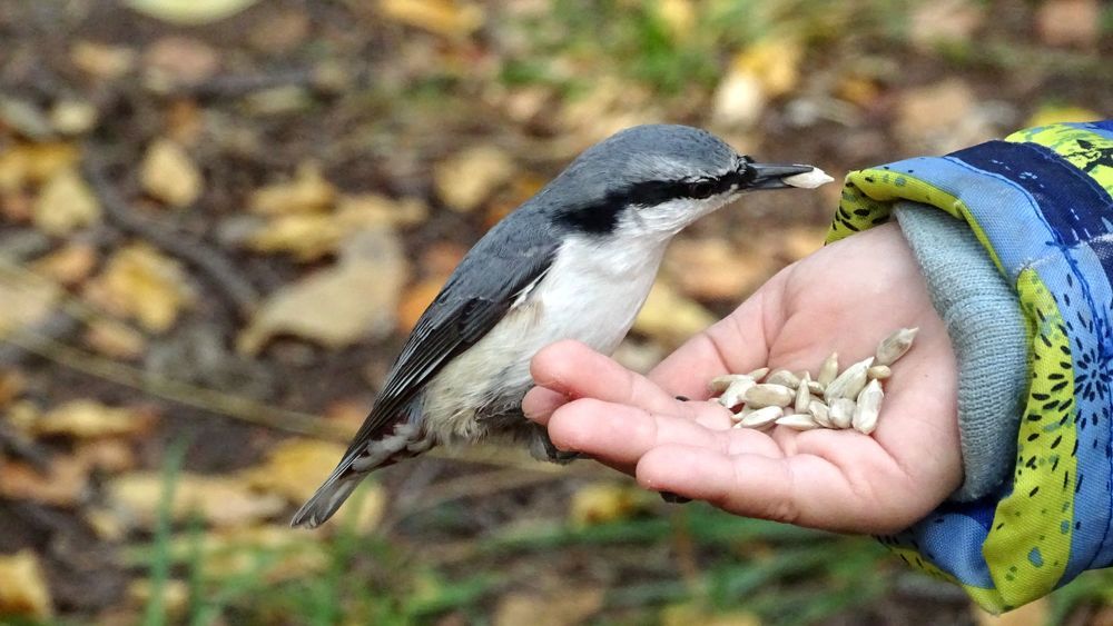 Photograph by Alexsandr Gl