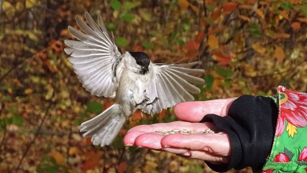 Photograph by Alexsandr Gl