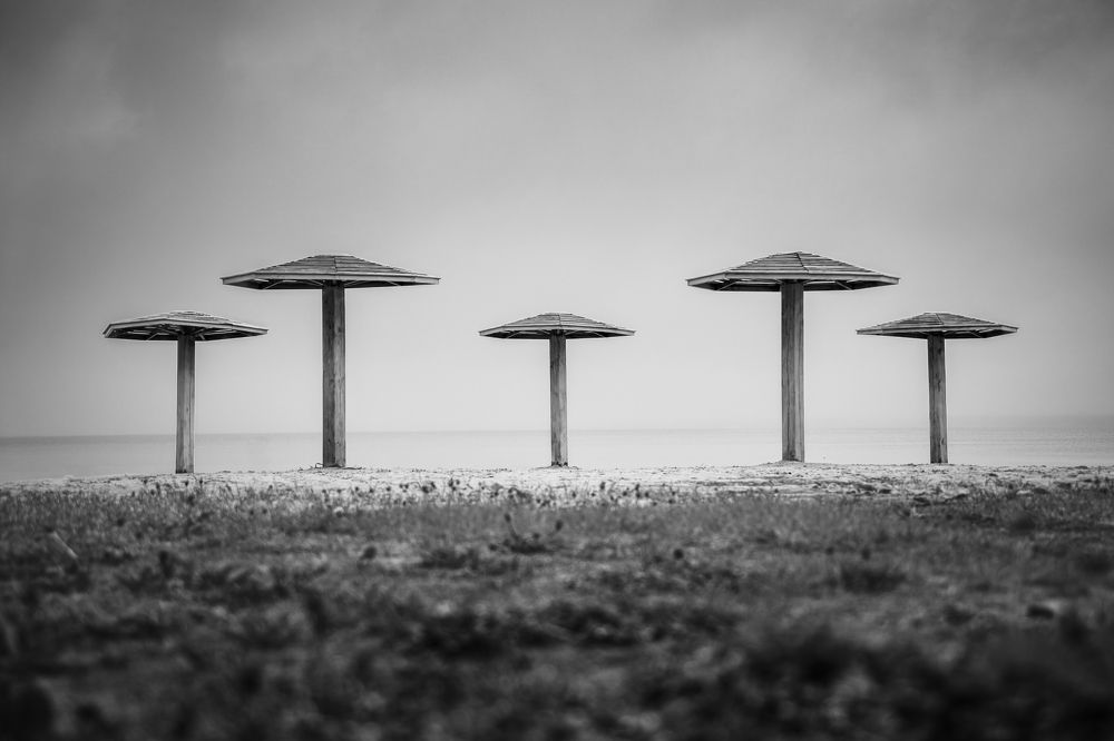 Photograph by Александр Соколов