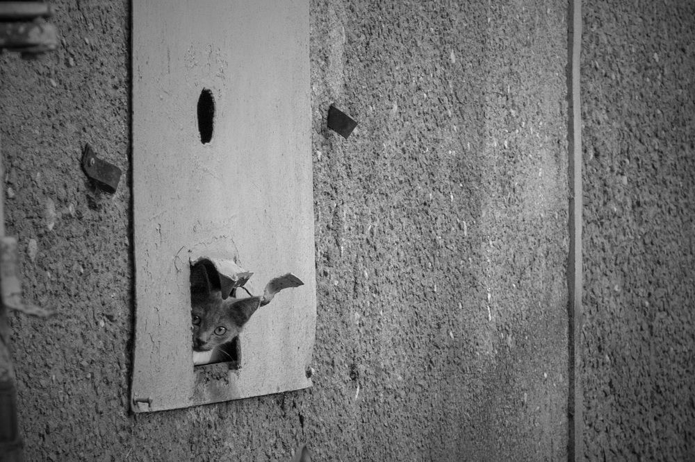 Фотография автора Дмитрий Овчинников