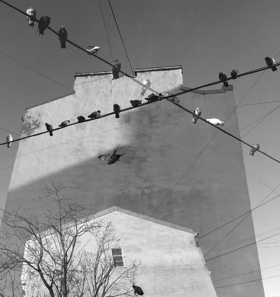 Photograph by Антон Лаба