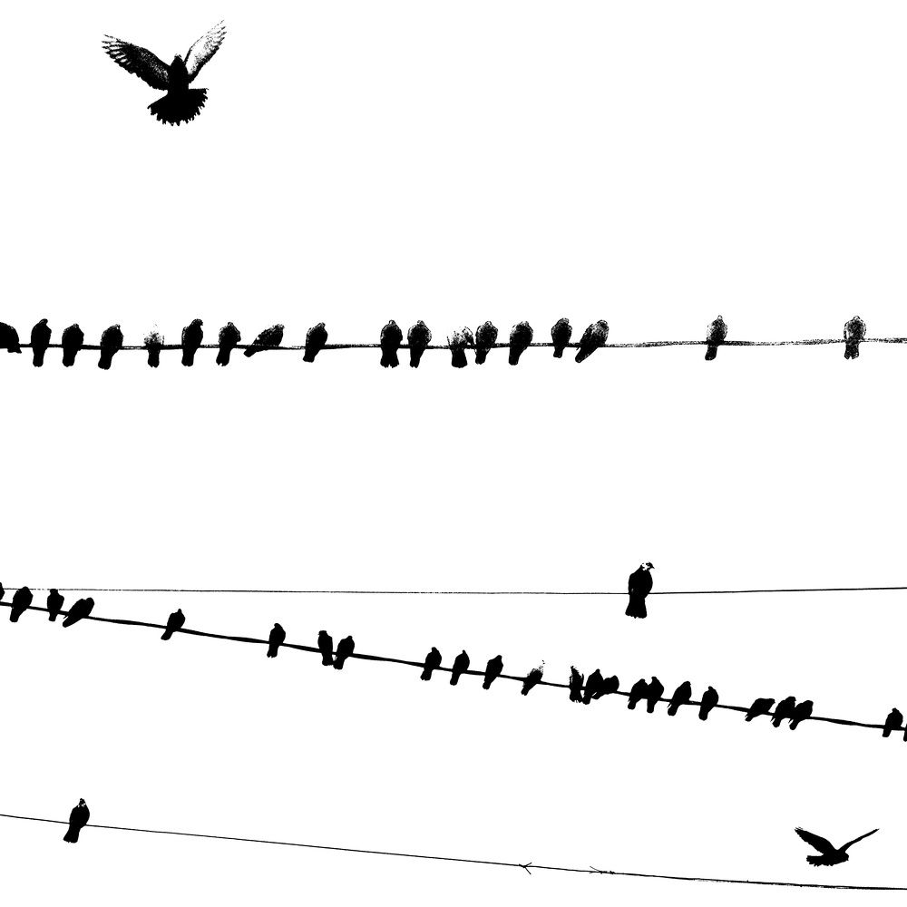 Photograph by Антон Лаба