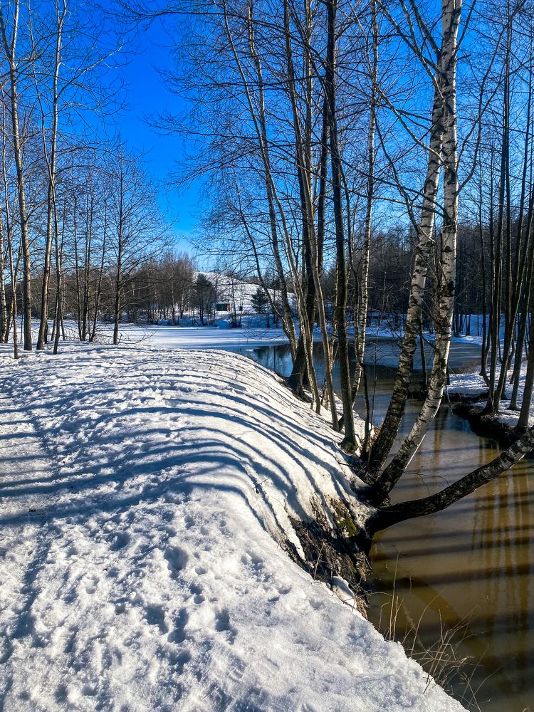 Photograph by Elena Mariushkina