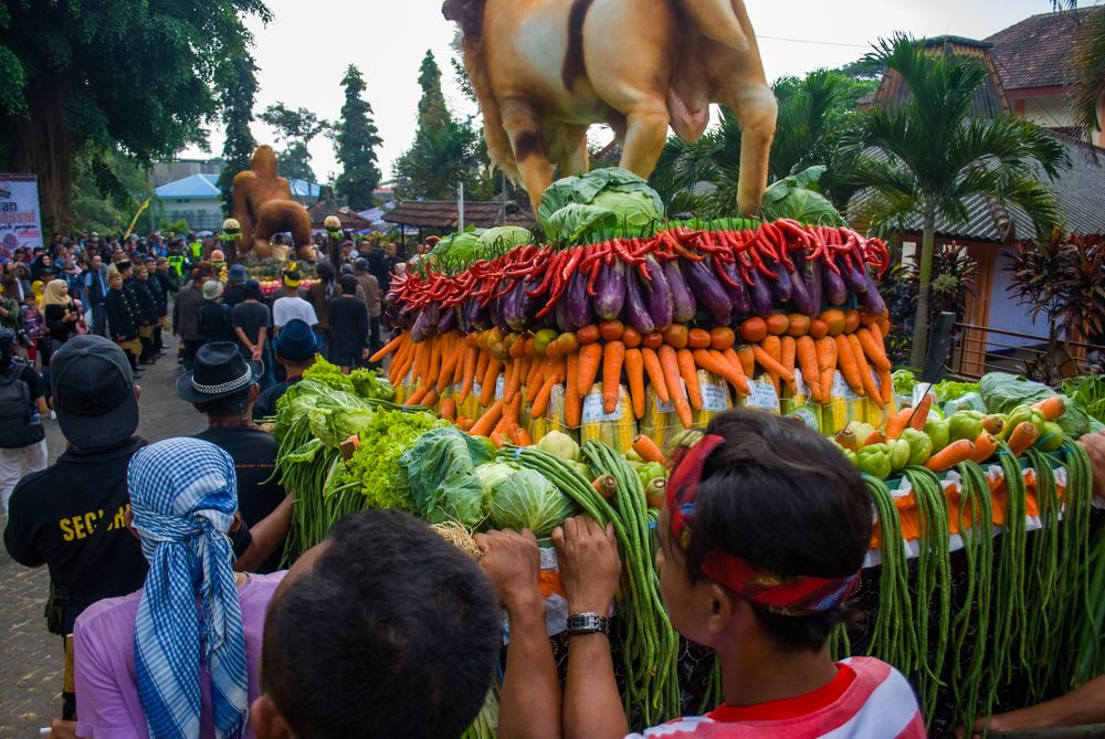 Photograph by Dodyk K