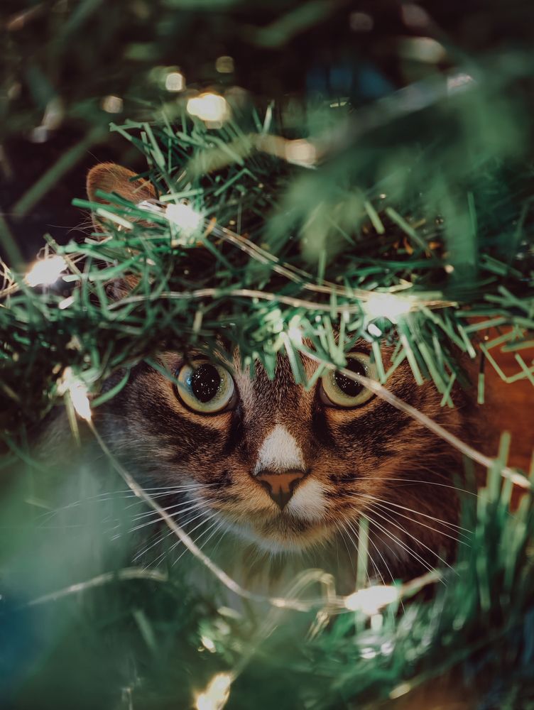 Photograph by Игорь Евдосеев