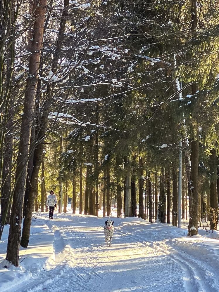 Photograph by Elena Mariushkina