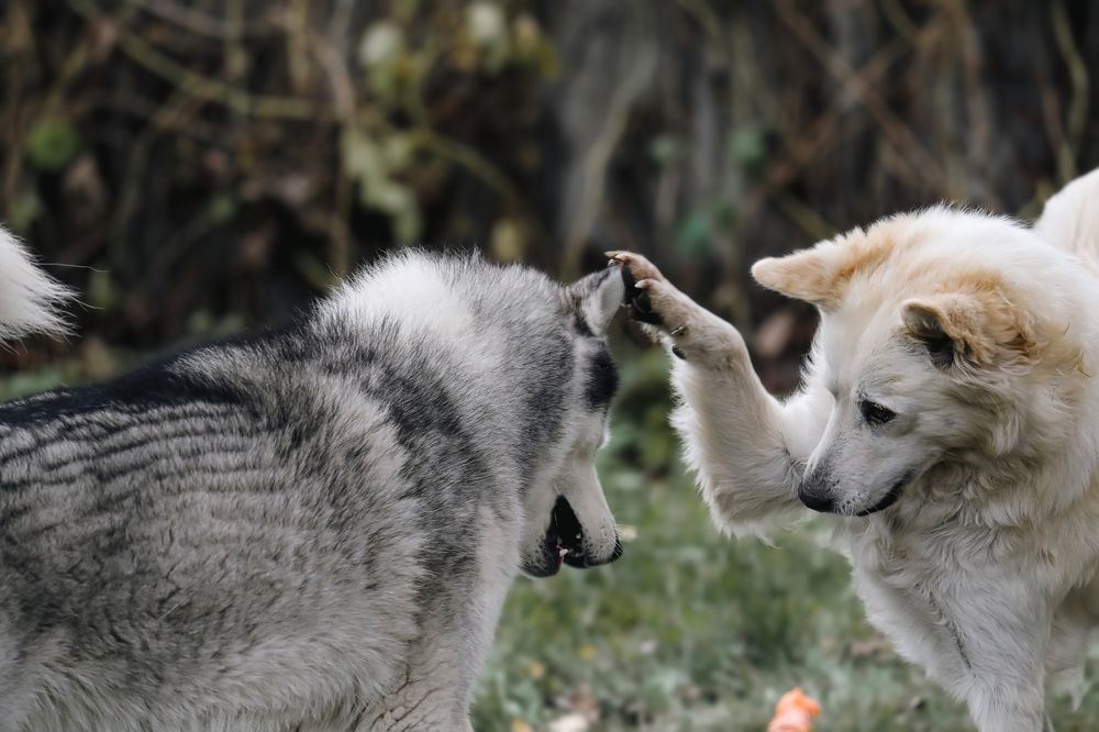 Photograph by Мария Ирешева
