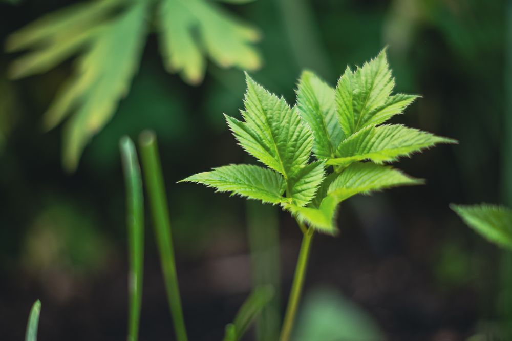 Photograph by Денис Пономарёв