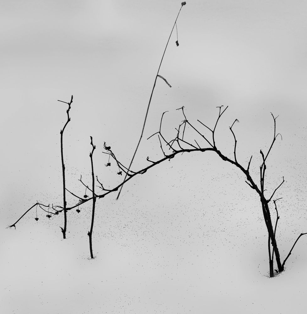 Photograph by Юрий Полушин