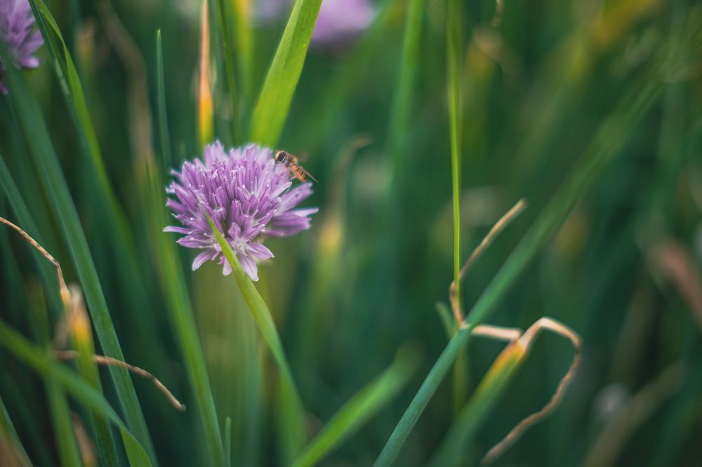 Photograph by Денис Пономарёв