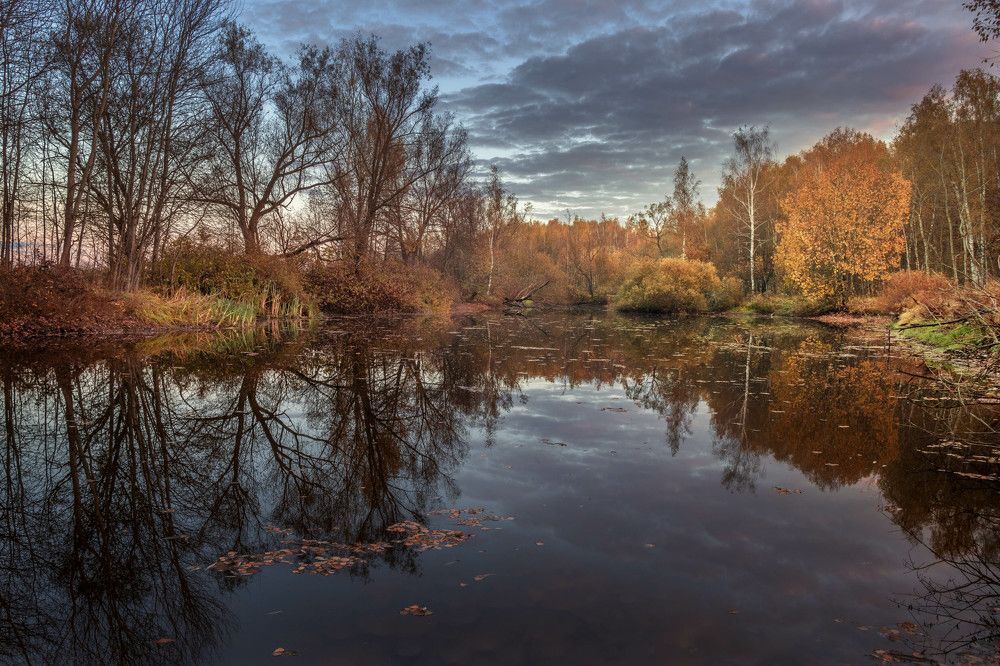 Фотография автора Сережа Сережин