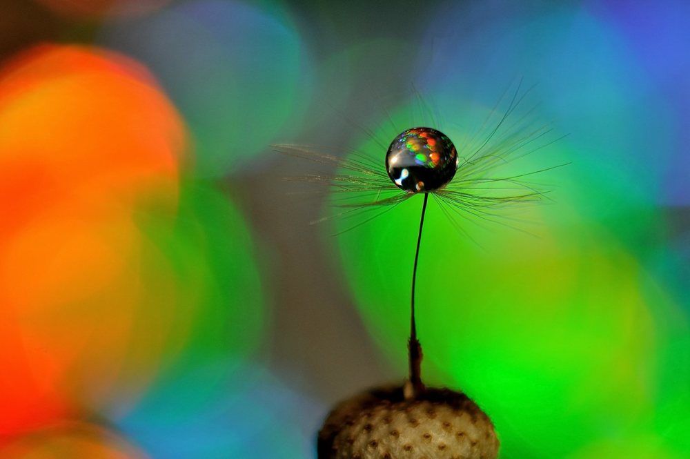 Photograph by Николай Птицын