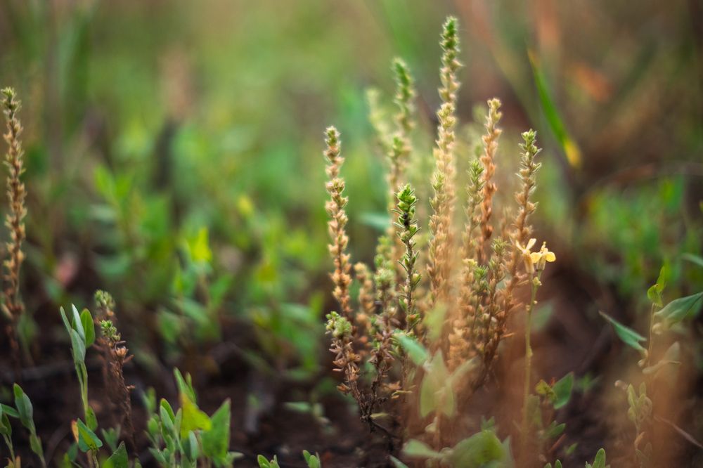 Photograph by Денис Пономарёв