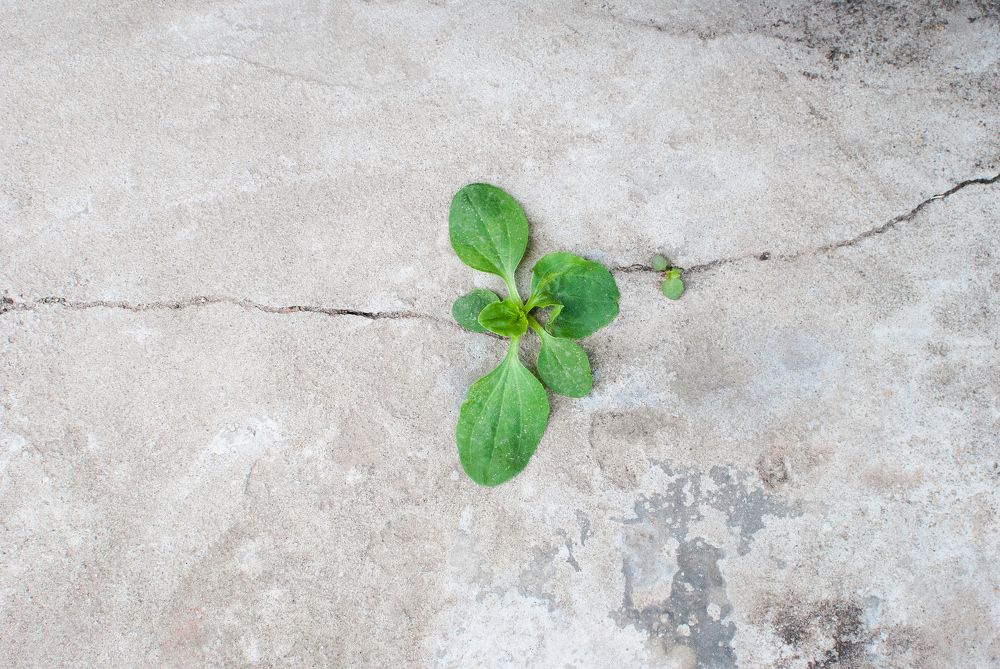 Photograph by Oksana Butova
