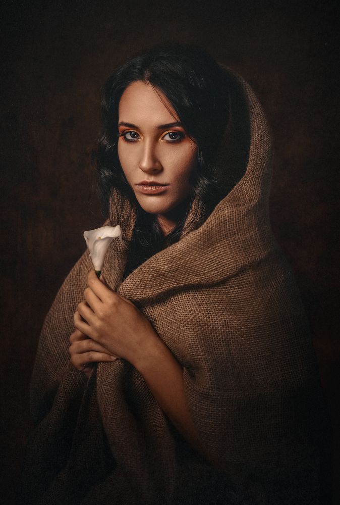 Contemplations in shadows