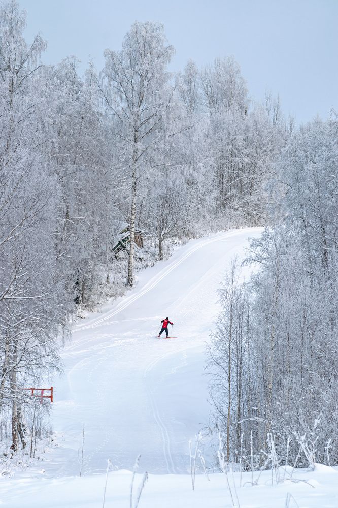 Photograph by Наталья Зверева