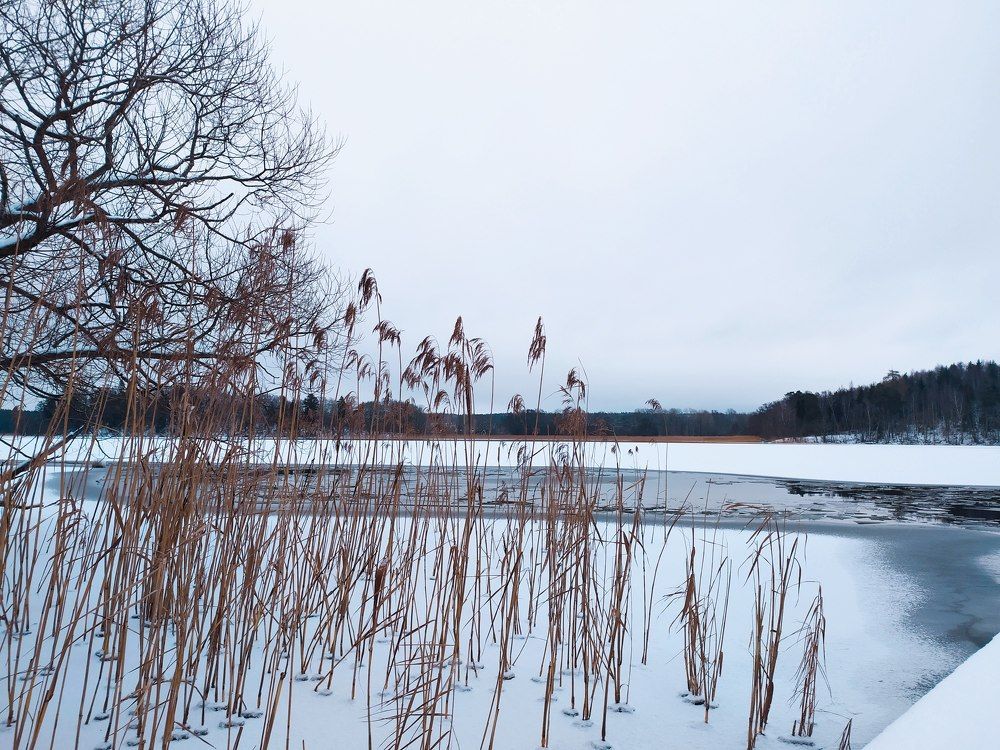 Photograph by Елизавета Хляпова
