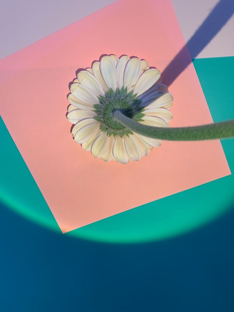 Photograph by Анастасия Мусихина