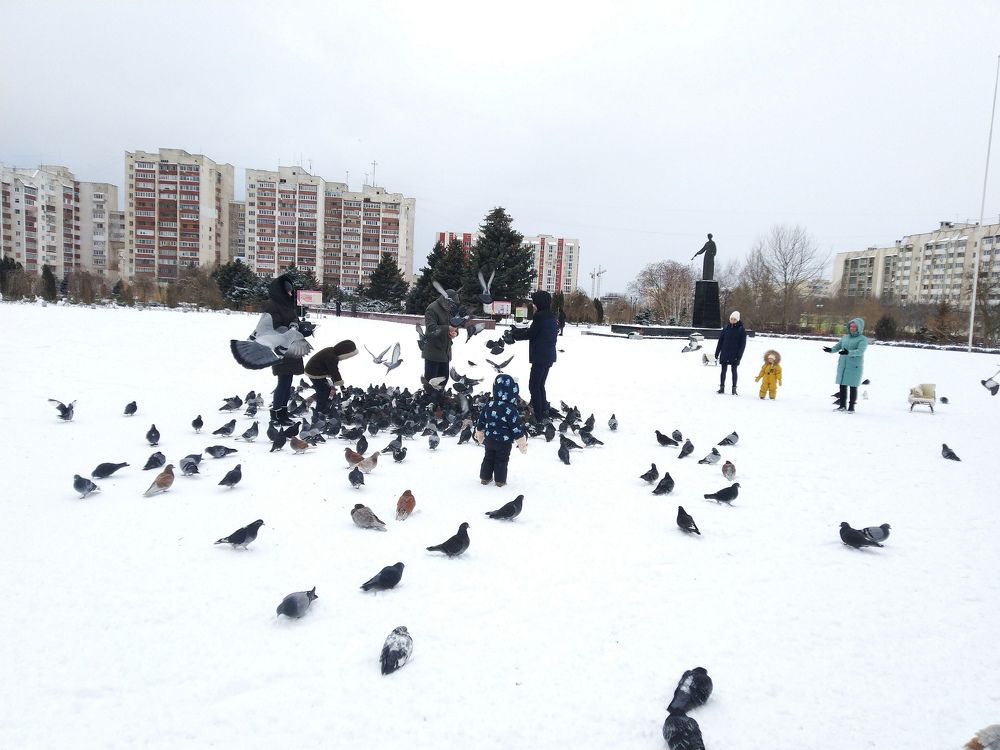 Фотография автора Анатолий Дячина