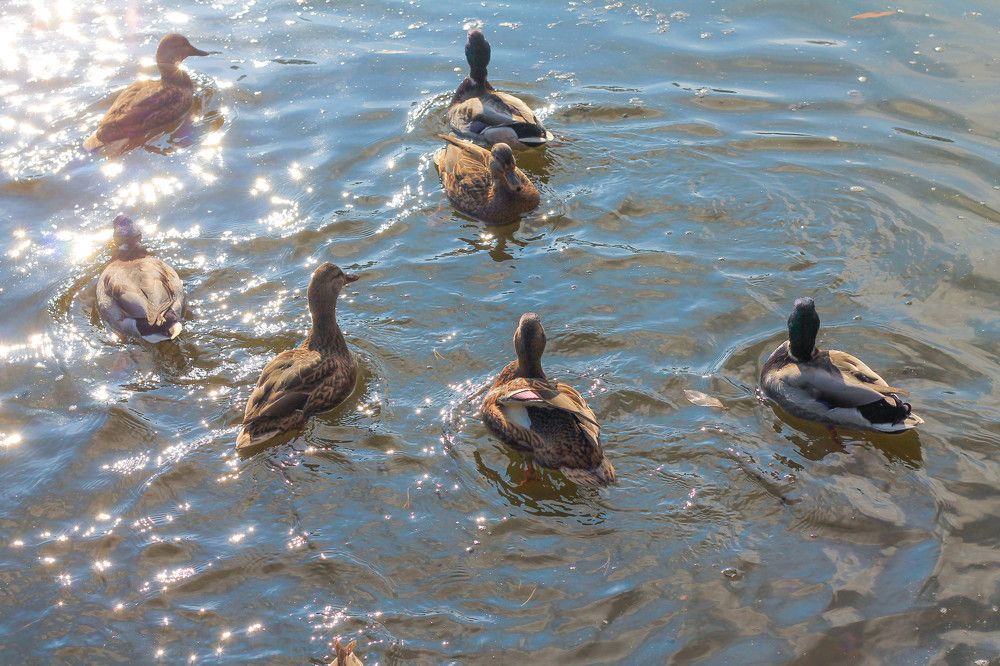 Photograph by Любовь Иванова