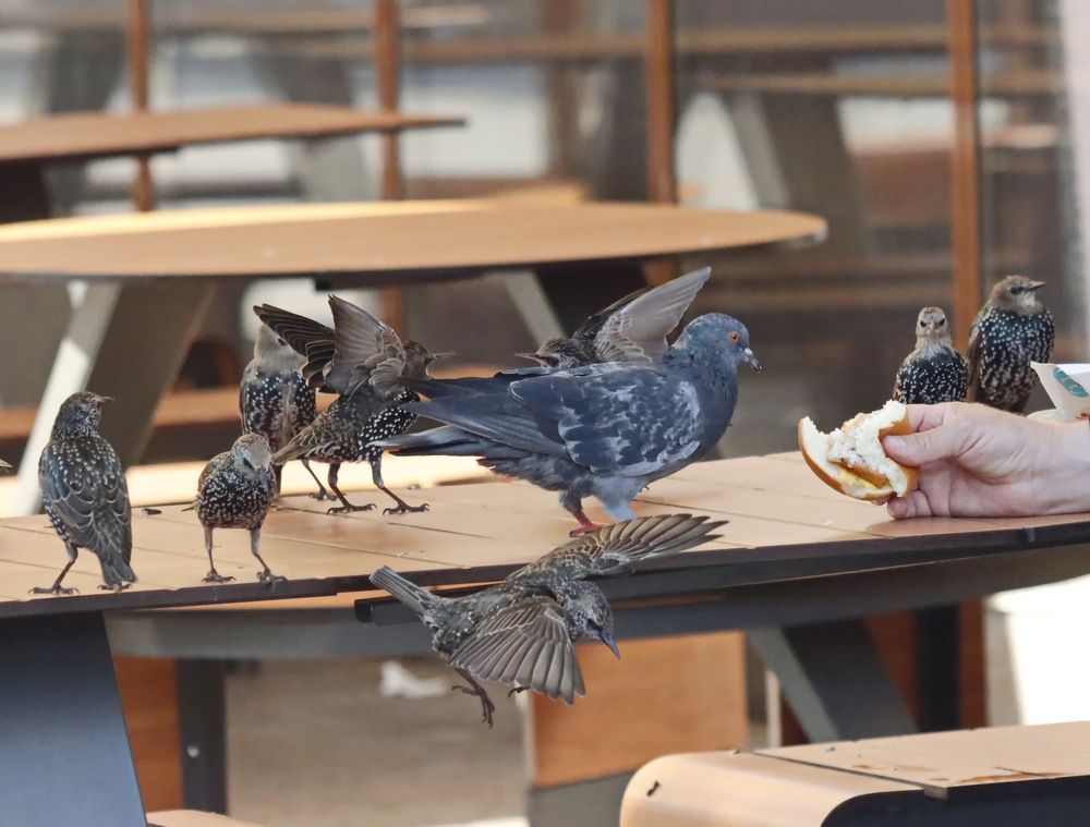 Photograph by Сергей Маслов