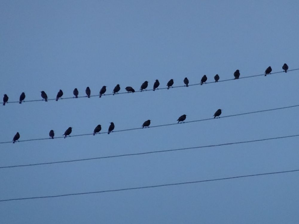 Photograph by Людмила Воропаева