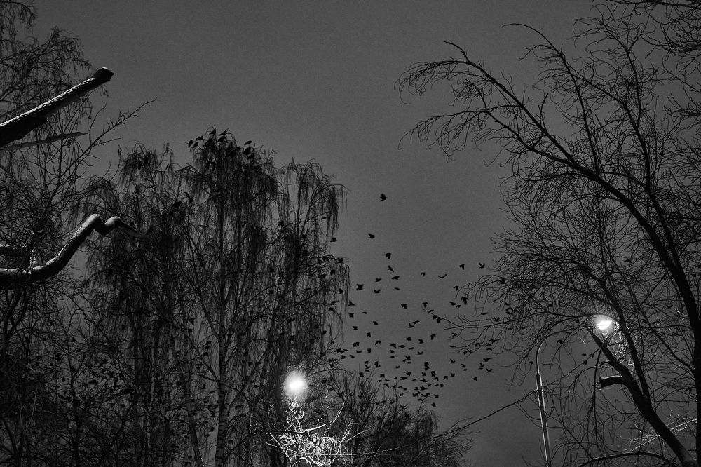 Photograph by Александр Шалагин