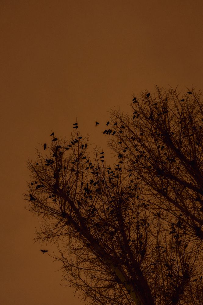 Photograph by Александр Шалагин